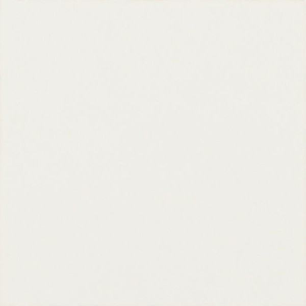 Paradyż Modern dekoracja podłogowa taco bianco płytka gresowa 4,8x4,8.