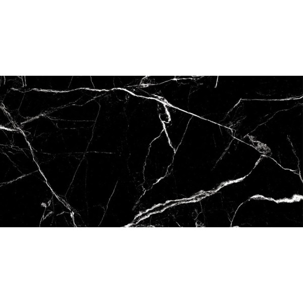 Netto Markinia silver polished płytka gresowa 60x120.