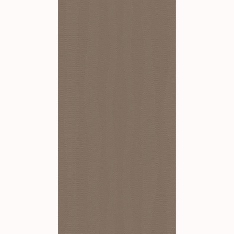 Paradz Clam silver dekor połysk płytka ścienna 29,8 x 59,8 cm.