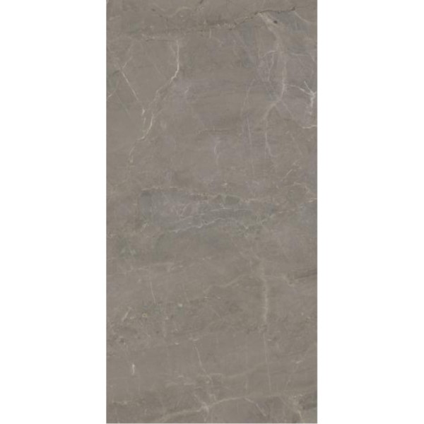 Paradyż Wonderstone light grey poler płytka gresowa 59,8 x 119,8 cm.