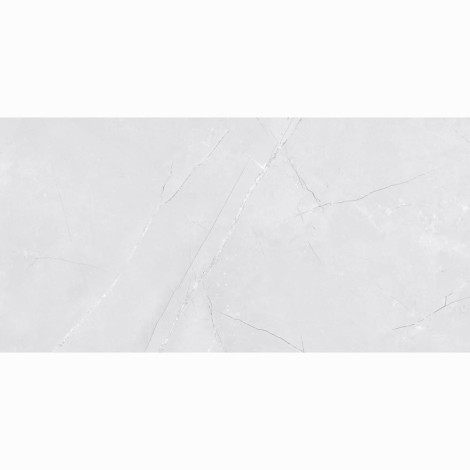 Netto Wall Venezia light grey shiny płytka ścienna 30 x 60 cm.