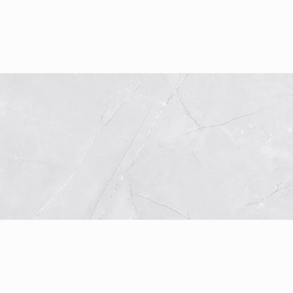 Netto Wall Venezia light grey shiny płytka ścienna 30 x 60 cm.