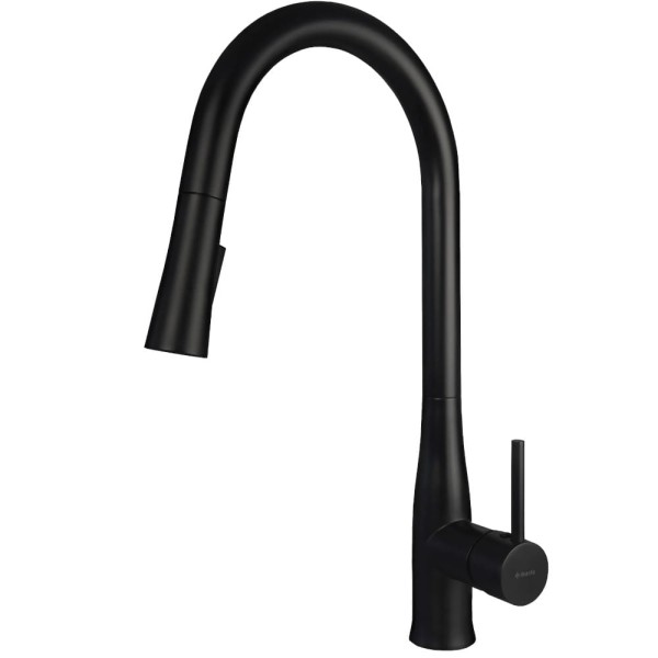 Deante Lukrecja bateria zlewozmywakowa z wyciaganą 2 -funkcyjną słuchawką  nero.