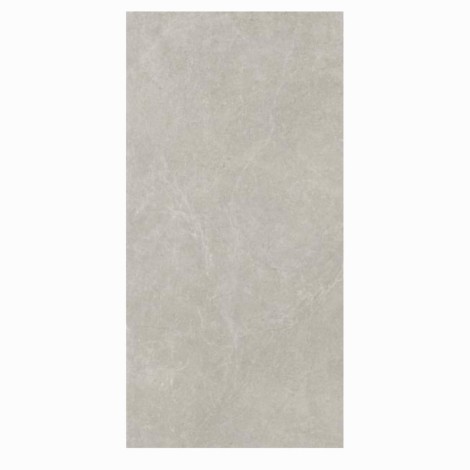 Paradyż U118 grey mat płytka gresowa 59,8X119,8cm