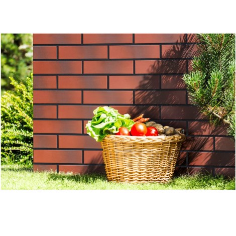 Cerrad Burgund Cieniowana klinkier płytka elewacyjna 24,5x6,5cm - aranżacja