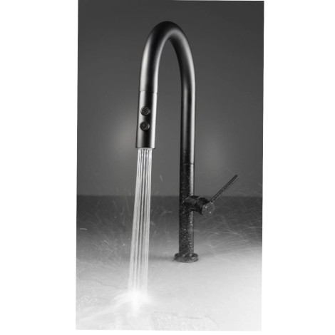 Deante Olfato bateria zlewozmywakowa z wyciąganą słuchawką czarna 2