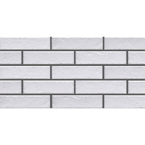 Cerrad Foggia Bianco płytka klinkierowa elewacyjna 6,5x24,5