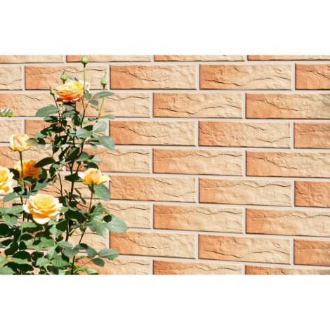 Cerrad Gobi Rustico klinkier elewacyjny 24,5x6,5