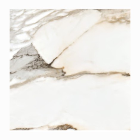 Stargres Calacatta gold płytka gresowa59,5x59,5 cm mat.