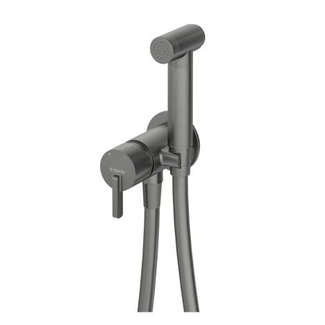 Deante Silia bidetowa podtynkowa ze słuchawką titanium