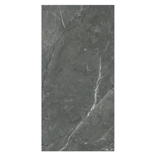 Paradyż U127 graphite mat płytka gresowa 59,8*119,8cm