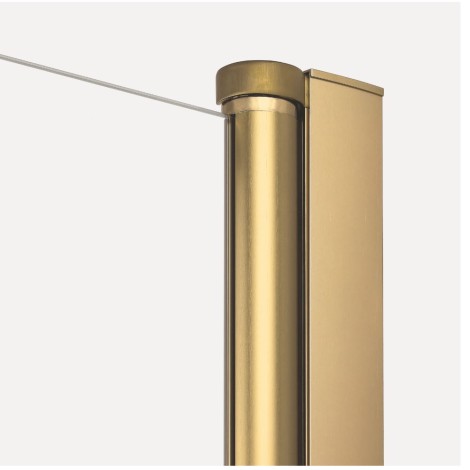 New Trendy drzwi wnękowe New Soleo Gold Brushed 1D 