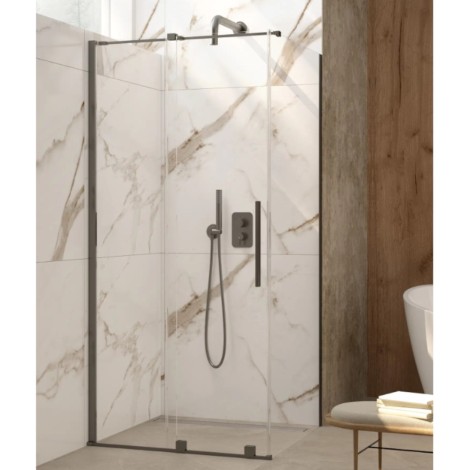 Deante Prizma ścianka prysznicowa walk-in 100 cm - przesuwna titanium