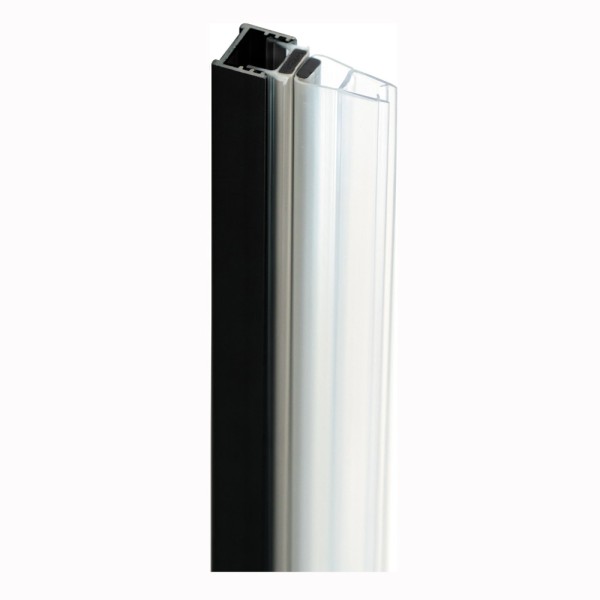 Deante Prizma profil do drzwi wnękowych czarny