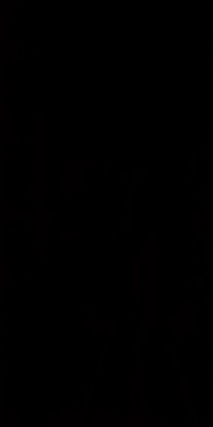 Paradyż Synergy nero płytka ścienna 30 x 60 cm