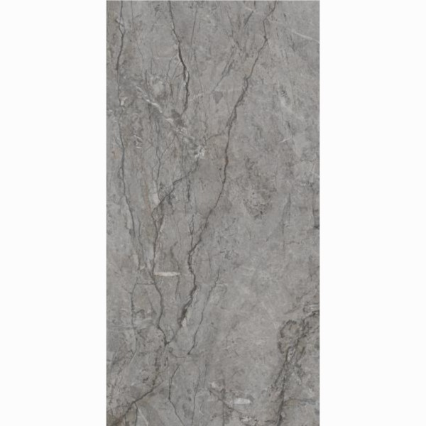 Paradyż Visioner grey płytka gresowa poler 60x120cm.