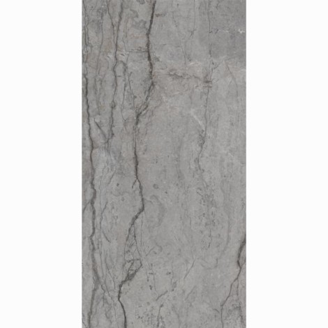 Paradyż Visioner grey płytka gresowa poler 60x120cm.