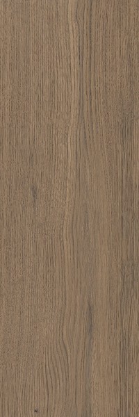 Paradyż Silva wood brown mat płytka gresowa 20x60cm
