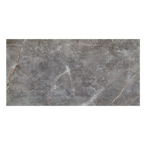Domino Visine grey gloss płytka ścienna 59,8x119,8